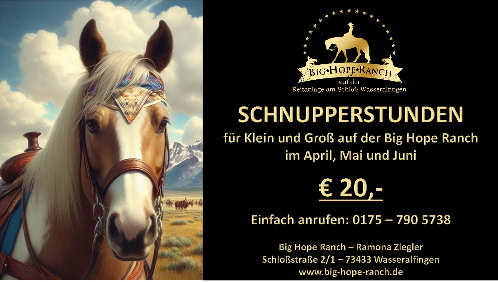 Schnupperreitstunden